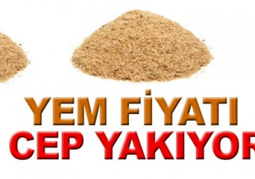 Yem fiyatı cep yakıyor