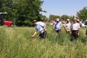 Erzincan’da İlk Kez Ryegrass (İtalyan çimi) Alternatif Yem Bitkisi Tarla Günü Düzenlendi.
