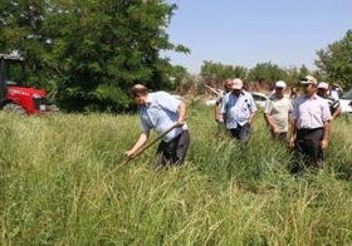 Erzincan’da İlk Kez Ryegrass (İtalyan çimi) Alternatif Yem Bitkisi Tarla Günü Düzenlendi.