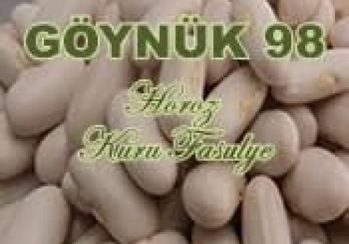 Horoz- Göynük98 Kuru Fasulye Tohumu