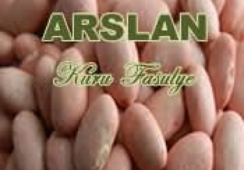 Arslan Kuru Fasulye Tohumu