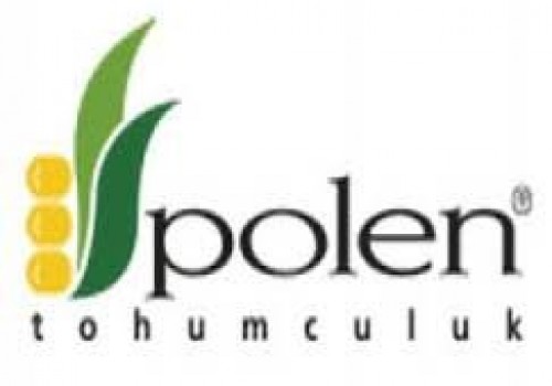 Polen Tohumculuk Danelik ve Slajlık Mısır Tohumu Çeşitleri