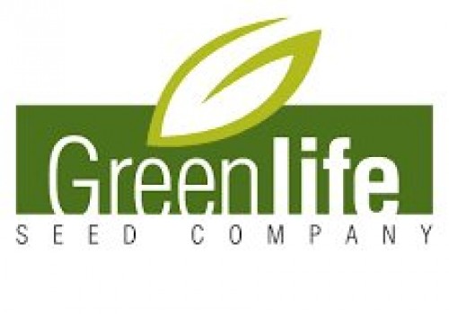 Greenlife Slajlık Msır Tohumu Çeşitleri