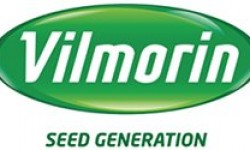 Vilmorin Danelik Mısır Tohumu Çeşitleri
