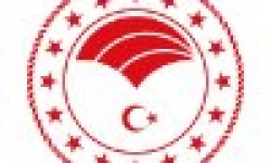 Karadeniz Tarımsal Araştırma Enstitüsü Slajlık Mısır Tohumu.
