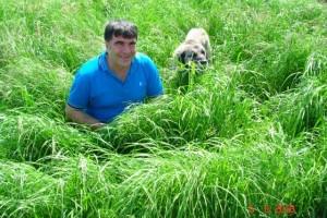 Teff Grass Tohum Fiyatı