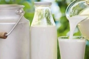 Yeni Çiğ Süt Fiyatları