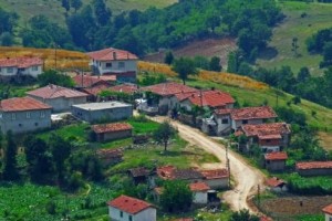 Büyükşehir Yasası Hayvancılığın Belini Kırmaktadır