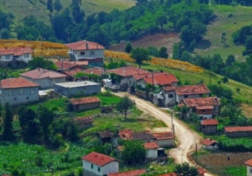 Büyükşehir Yasası Hayvancılığın Belini Kırmaktadır