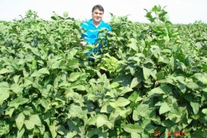 Besi Yemi 50 Kg Fiyatları