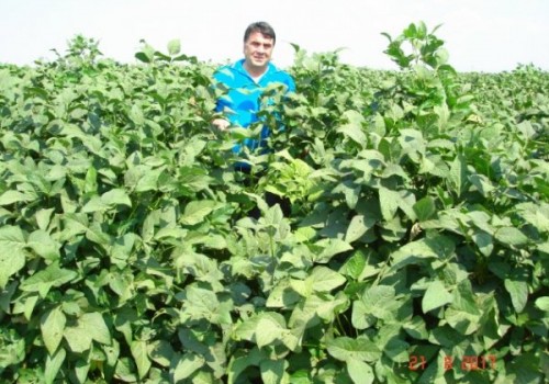 Besi Yemi 50 Kg Fiyatları