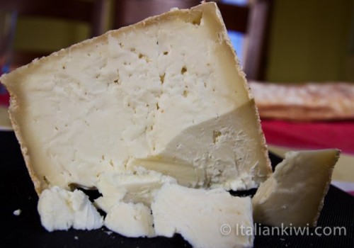 Castelmagno Peyniri-Piemontese Peyniri
