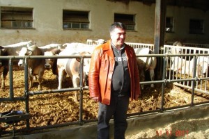 Doğu Anadolu Bölgesinde Hangi  Hayvancılık Yapılır?