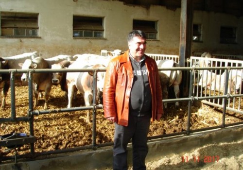 Doğu Anadolu Bölgesinde Hangi  Hayvancılık Yapılır?