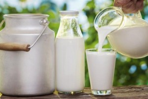 A1,A2 Proteinli İnek Sütlerinin İnsan Sağlığı Üzerindeki Etkileri