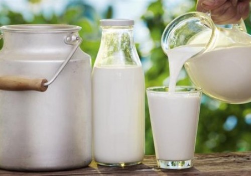 A1,A2 Proteinli İnek Sütlerinin İnsan Sağlığı Üzerindeki Etkileri